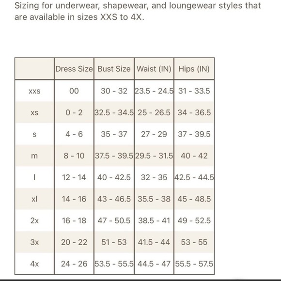 SKIMS FAUX LEATHER SCOOP BODYSUIT CEMENT SIZE 2X - Picture 12 of 12